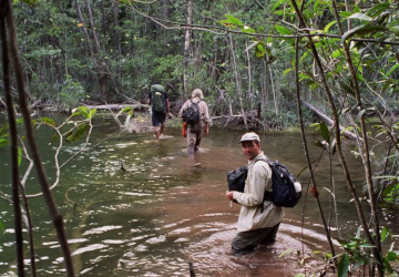 Expeditionsteilnehmer waten durch einen Fluss im Regenwald, im Vordergrund ein Mann mit Rucksack