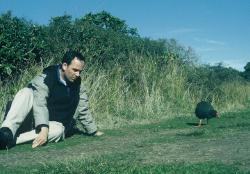 Lothar Frenz kauert im Gras, daneben läuft ein seltener Takahe