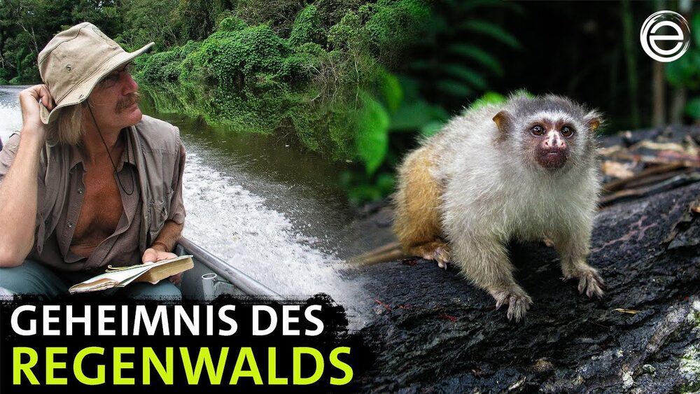 Vorschaubild: Der Artenjäger vom Amazonas